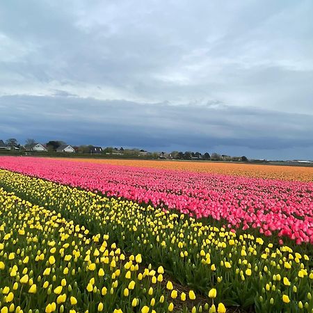 Cabin De Duinweg: Direct Aan Duin En Bos โนร์ดวิก ภายนอก รูปภาพ