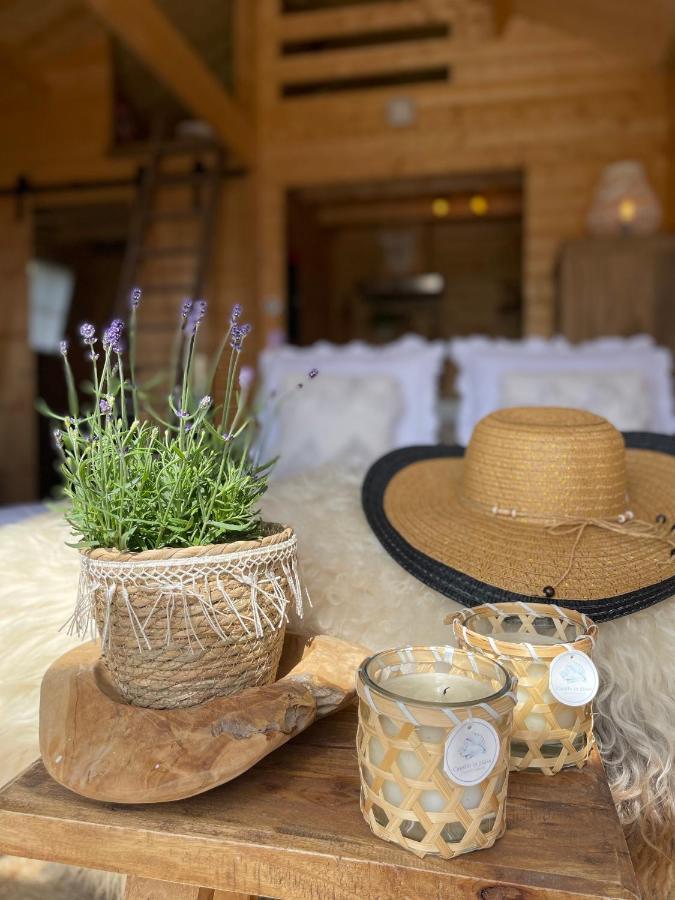 Cabin De Duinweg: Direct Aan Duin En Bos โนร์ดวิก ภายนอก รูปภาพ